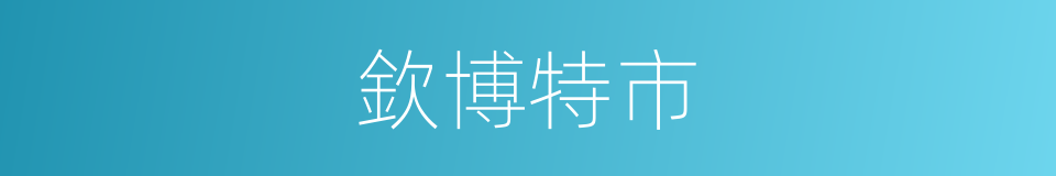 欽博特市的同義詞