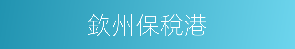 欽州保稅港的同義詞