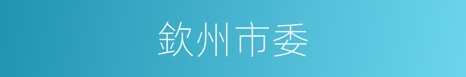 欽州市委的同義詞