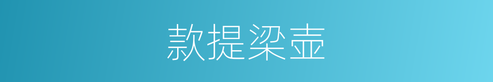 款提梁壶的同义词