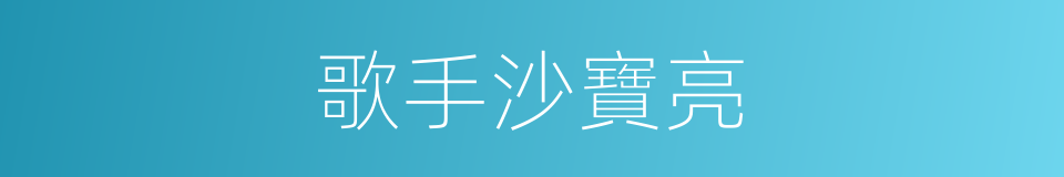 歌手沙寶亮的同義詞