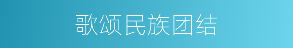 歌颂民族团结的同义词