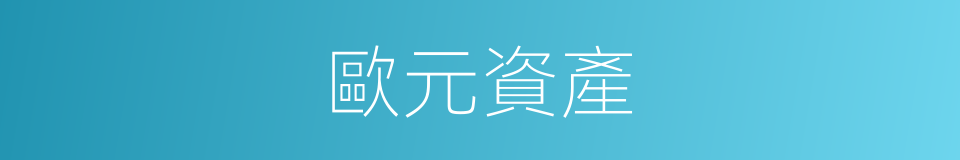 歐元資產的同義詞
