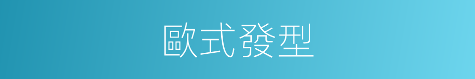 歐式發型的同義詞