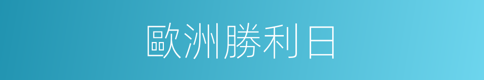 歐洲勝利日的同義詞