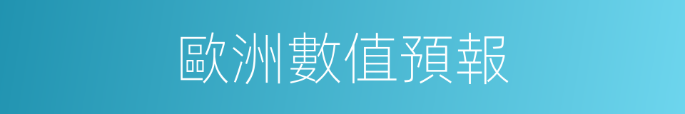 歐洲數值預報的同義詞
