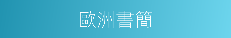 歐洲書簡的同義詞