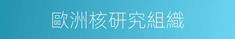 歐洲核研究組織的同義詞