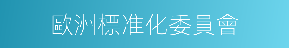 歐洲標准化委員會的同義詞