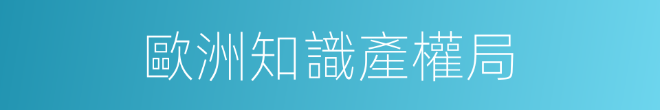 歐洲知識產權局的同義詞