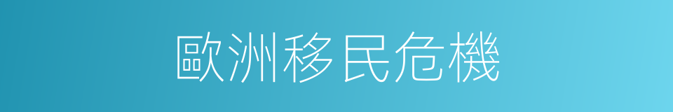 歐洲移民危機的同義詞