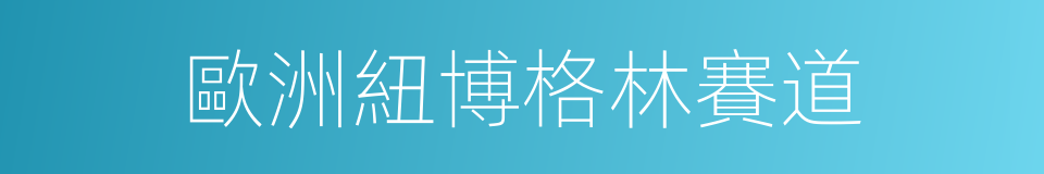歐洲紐博格林賽道的同義詞