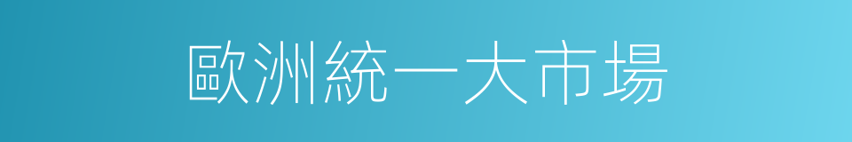 歐洲統一大市場的同義詞