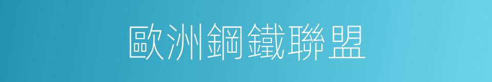 歐洲鋼鐵聯盟的同義詞