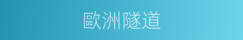 歐洲隧道的同義詞