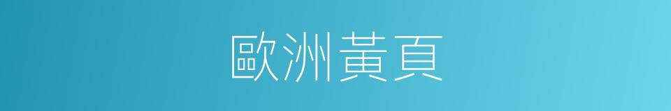 歐洲黃頁的同義詞