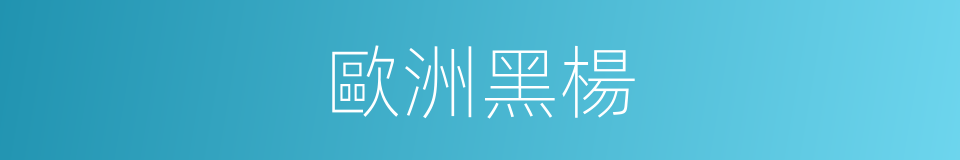 歐洲黑楊的同義詞