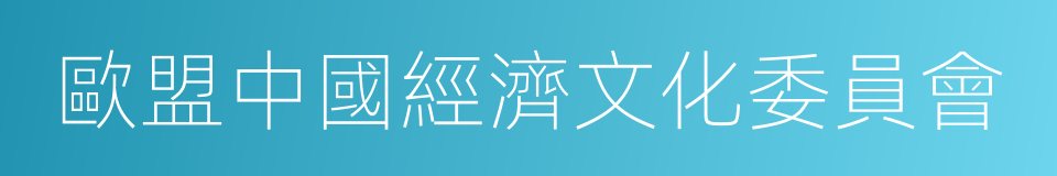 歐盟中國經濟文化委員會的同義詞