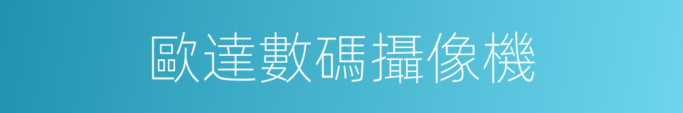 歐達數碼攝像機的同義詞