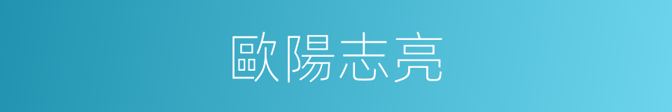 歐陽志亮的同義詞