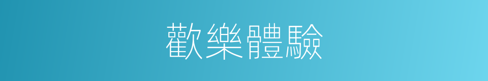 歡樂體驗的同義詞