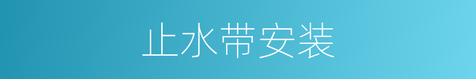 止水带安装的同义词