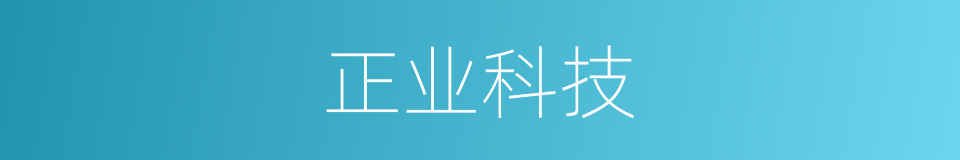 正业科技的同义词