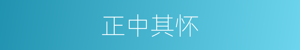 正中其怀的意思