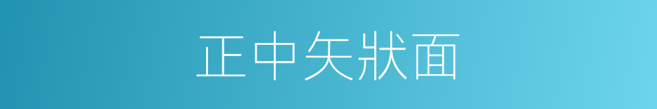 正中矢狀面的同義詞