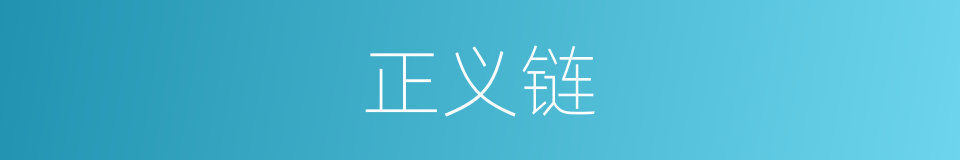 正义链的同义词