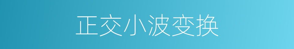 正交小波变换的同义词