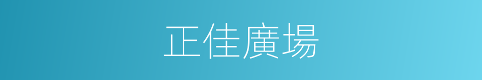 正佳廣場的同義詞