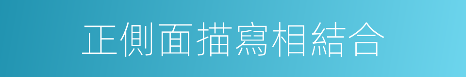 正側面描寫相結合的同義詞