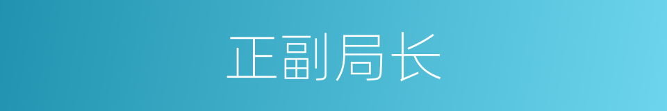 正副局长的同义词