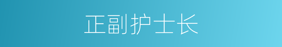 正副护士长的同义词