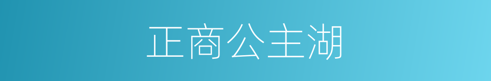 正商公主湖的同义词