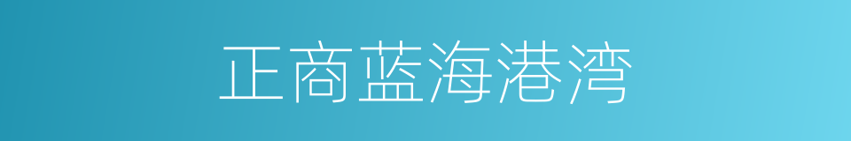 正商蓝海港湾的同义词