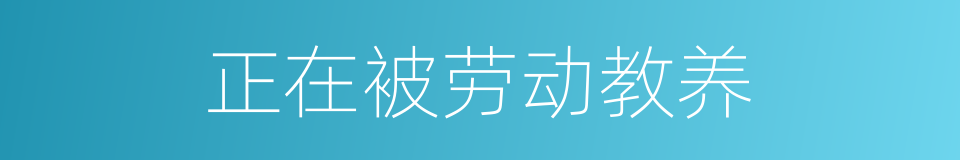 正在被劳动教养的同义词