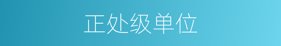 正处级单位的同义词