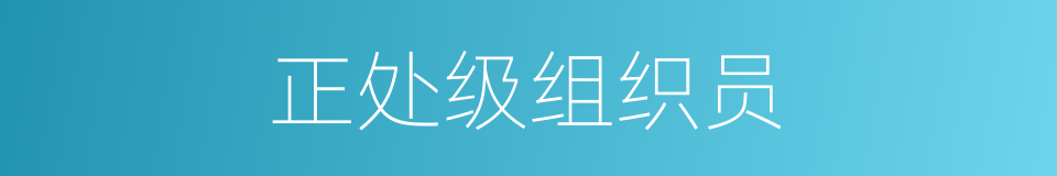 正处级组织员的同义词