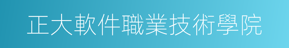 正大軟件職業技術學院的同義詞
