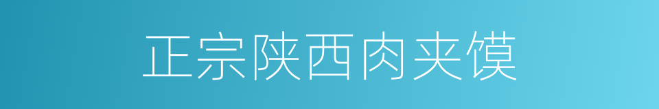 正宗陕西肉夹馍的同义词