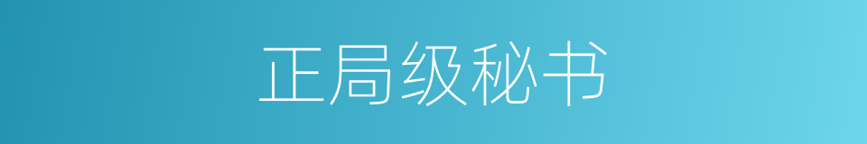 正局级秘书的同义词