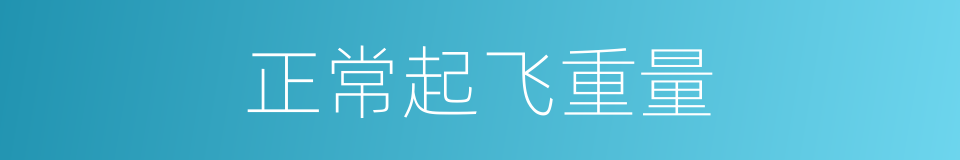 正常起飞重量的同义词