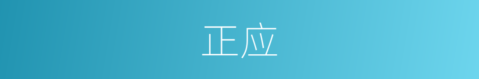 正应的同义词