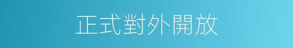 正式對外開放的同義詞