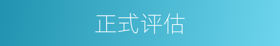 正式评估的同义词