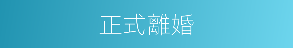 正式離婚的同義詞