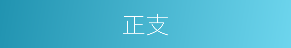 正支的意思