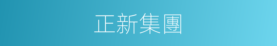 正新集團的同義詞